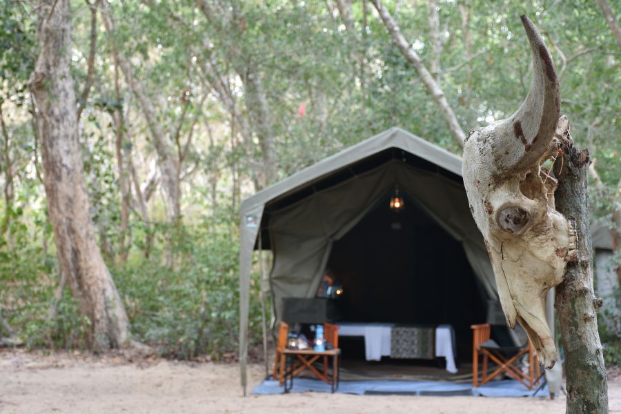 Explorer by Eco team camps