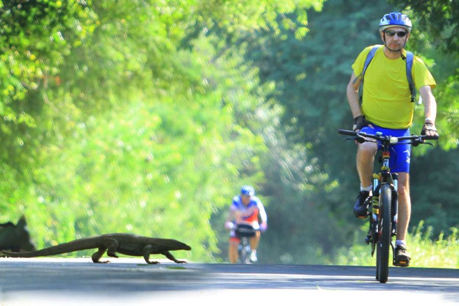 Cycling Tours in Sri Lanka 