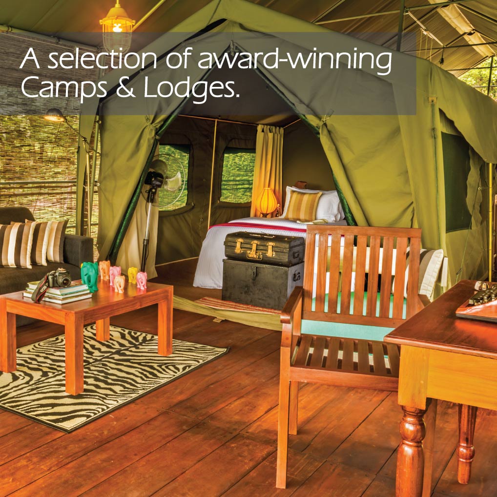 Ahaspokuna bush walk cams in Sri Lanka 