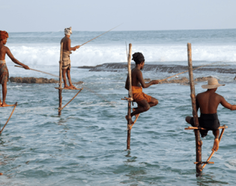 a group of people fishing in the ocean