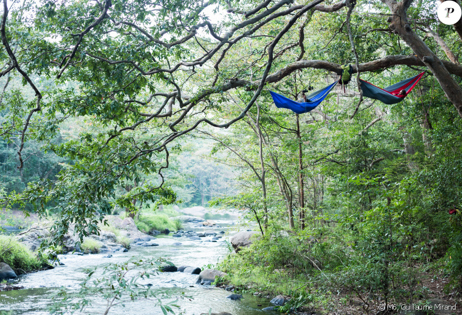 Two colorful hammocks hang from tree branches over a serene stream in a lush, green forest.