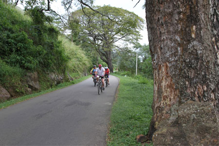 Cycling experience at Belihuloya in Sri Lanka 
