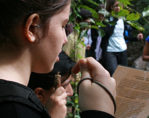 Kids expeditions in Sri Lanka 