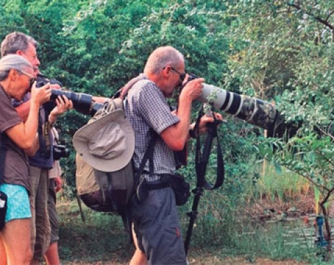 A group of photographers capturing images 