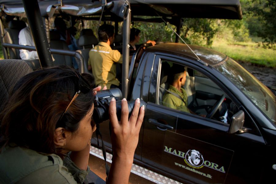 A woman capturing wildlife photos while their safari in Sri Lanka 