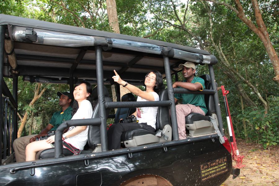 A group of guests sitting in a safari jeep 